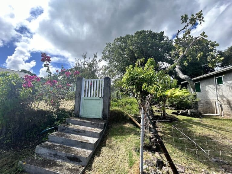 17 Things to do in Nevis 5 17 Things to do in Nevis