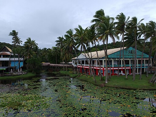 2019-01-30 Pacific Harbour, Viti Levu, Fiji 1