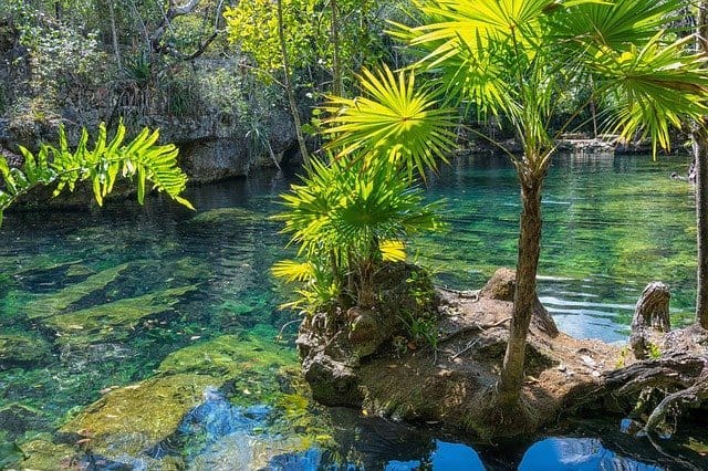 Cenotes in Mexico