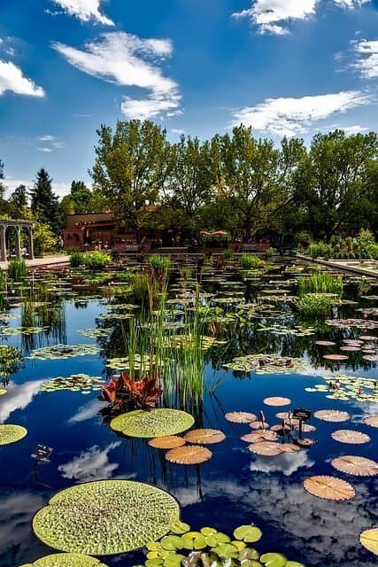 Denver Botanical Gardens