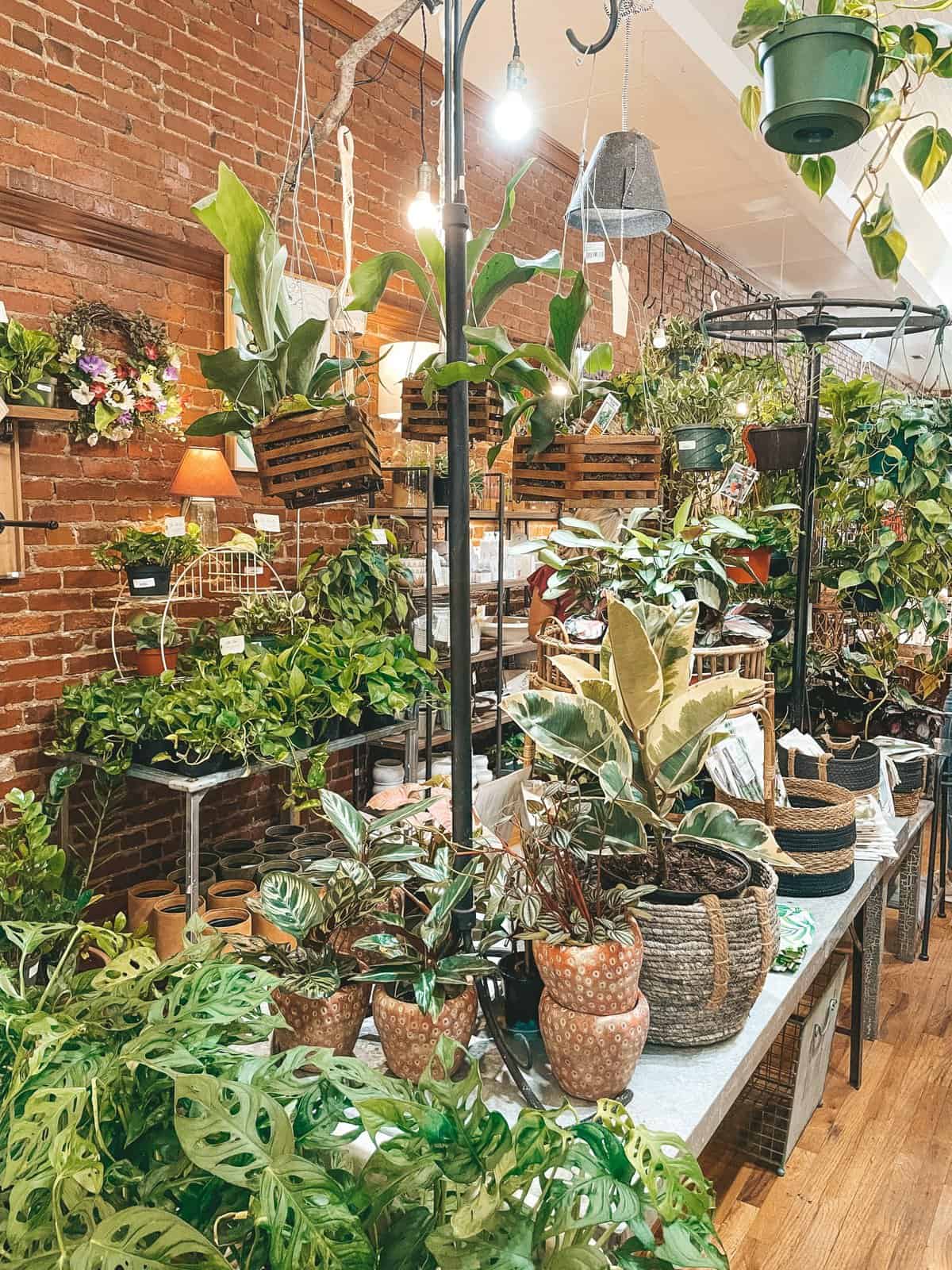 Downtown Franklin Tennessee