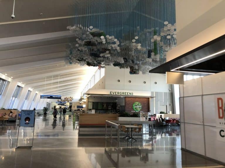 Evergreens at Portland International Airport