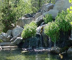 Morrison Knudson Nature Center Boise Idaho