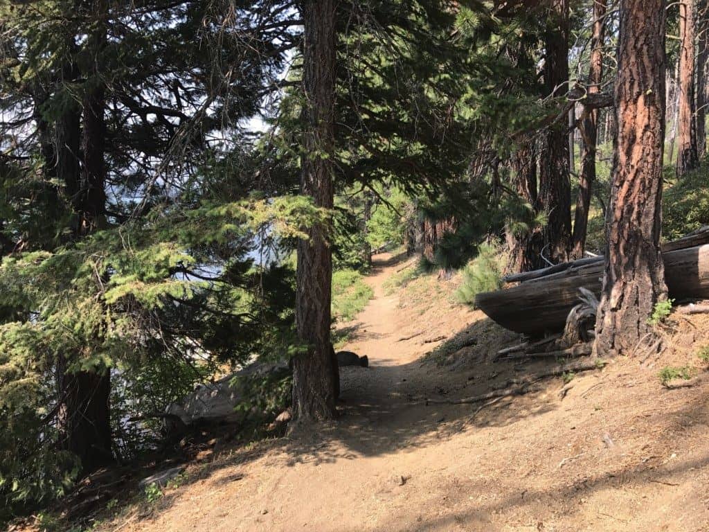 3 mile trail around Suttle Lake in Central Oregon