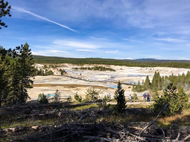 Porcelain Basin at Norris Geyser Basin in Yellowstone