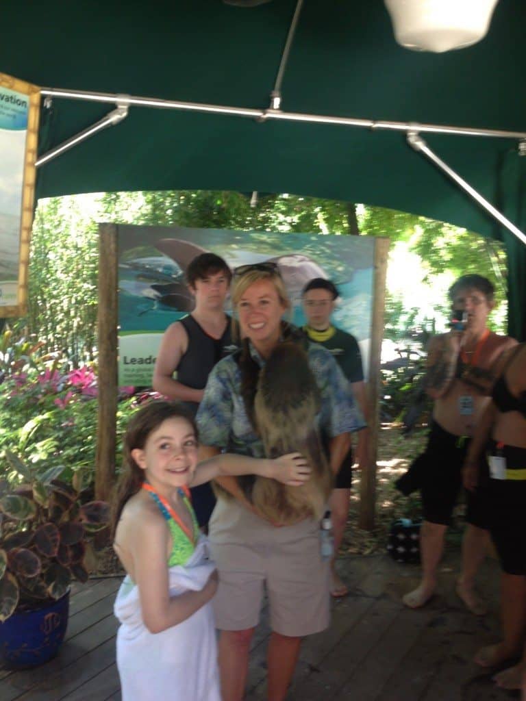 Discovery Cove animal meet and greets