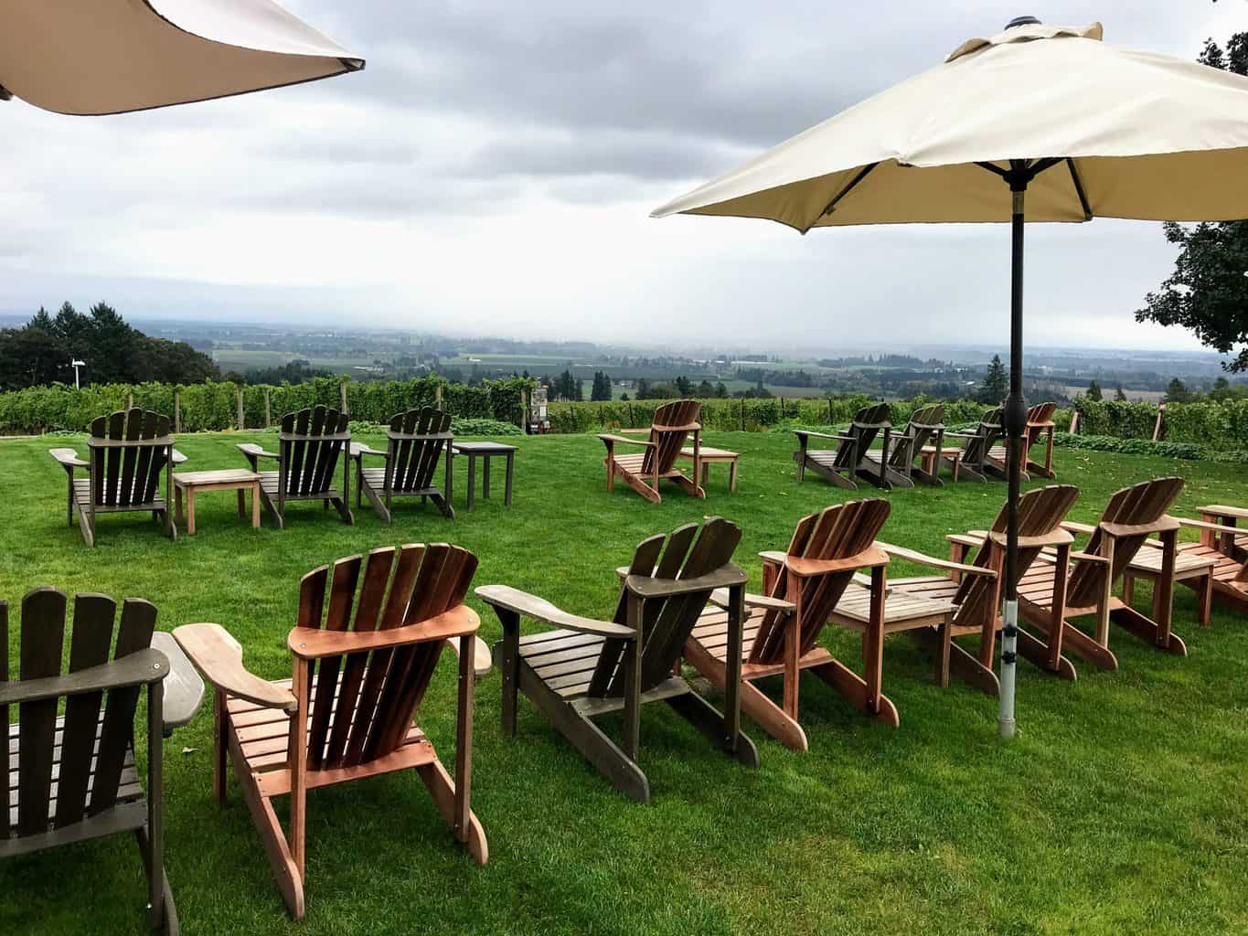 Kid Friendly Wineries in the Willamette Valley