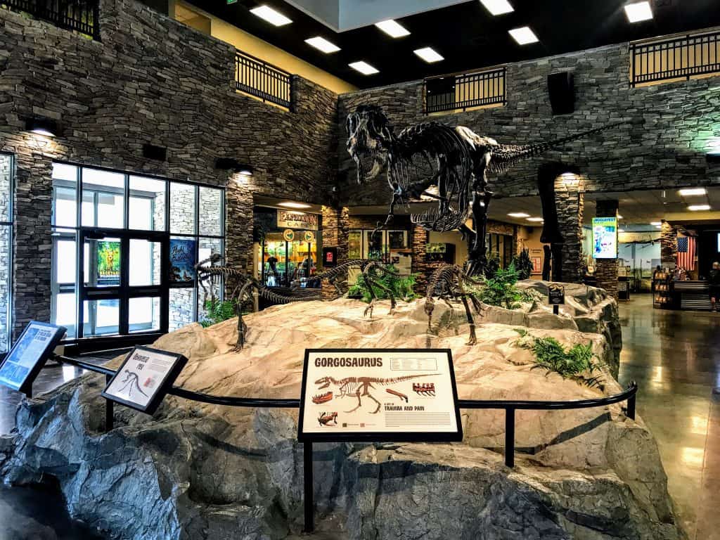 Museum of Ancient Life