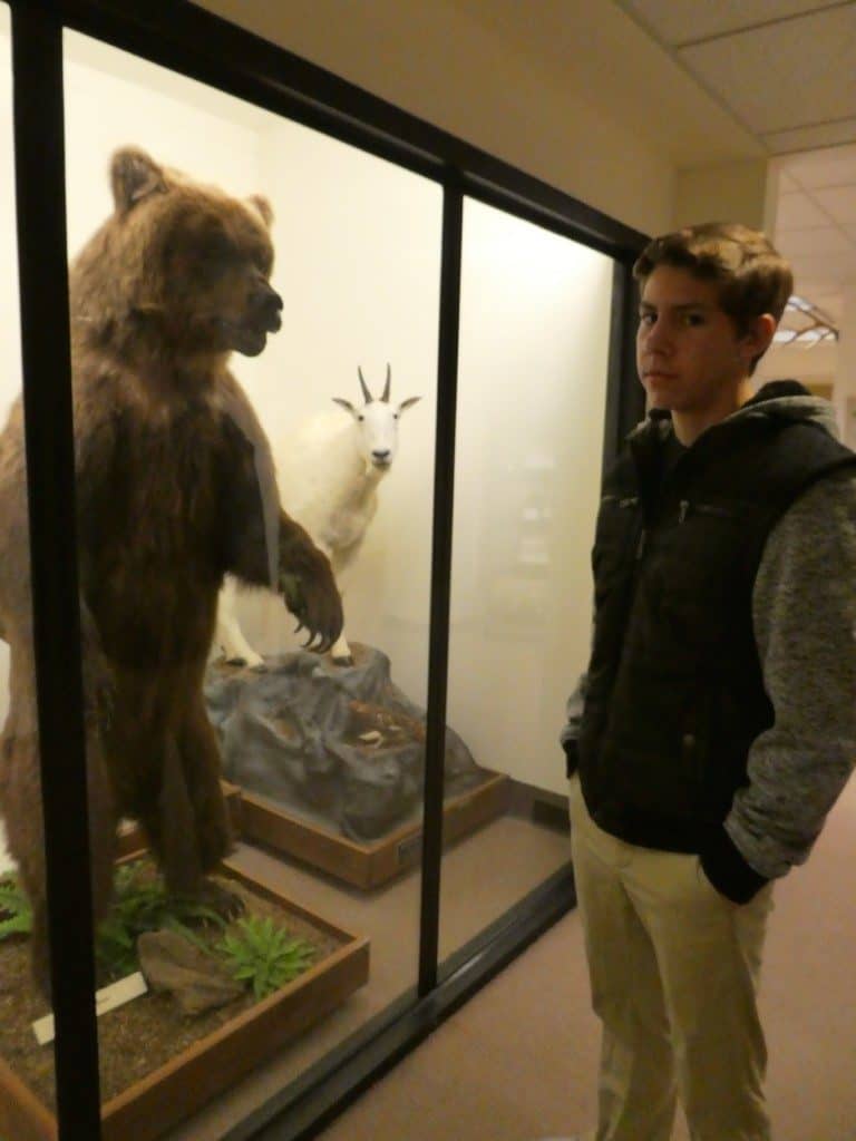 Mt. Angel Abbey Museum of Natural History