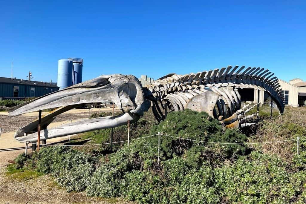 Seymour Marine Discovery Center