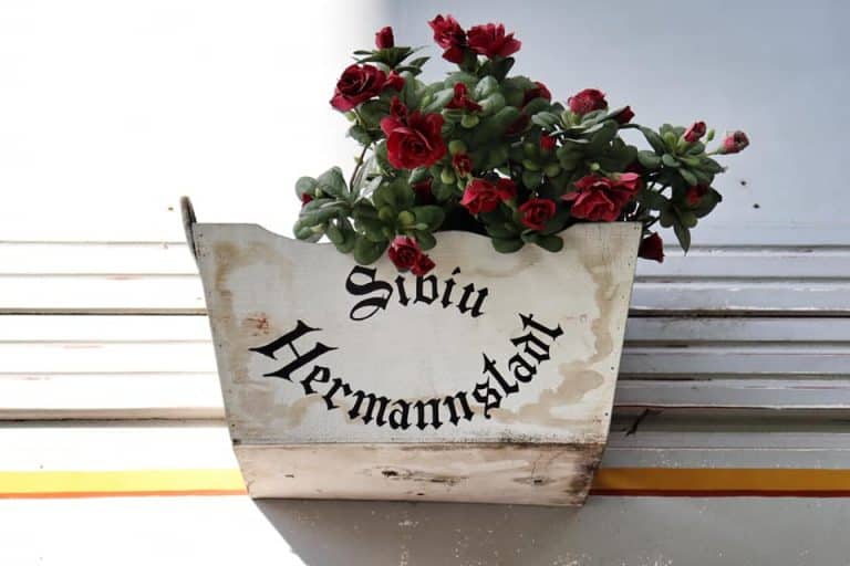 White flower box with red flowers that says Sibiu Hermannstadt