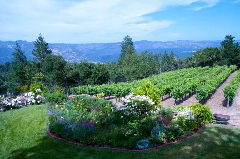 Stony Hill Winery in Napa Valley