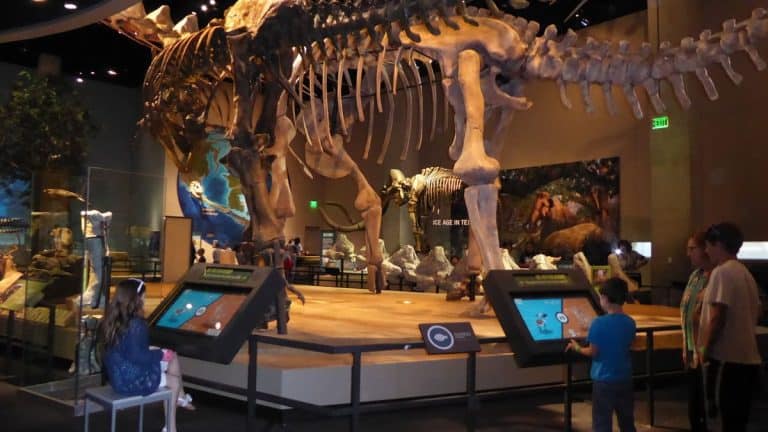 Things to do in Dallas with Kids