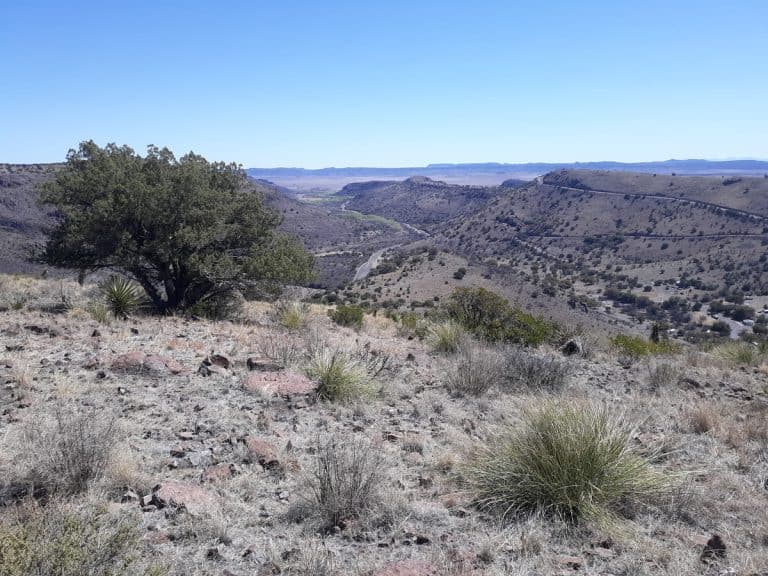 Things to do in Ft. Davis, Texas