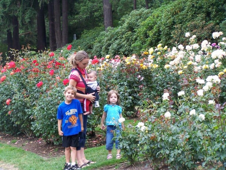 Things to do in Portland, Oregon with Kids