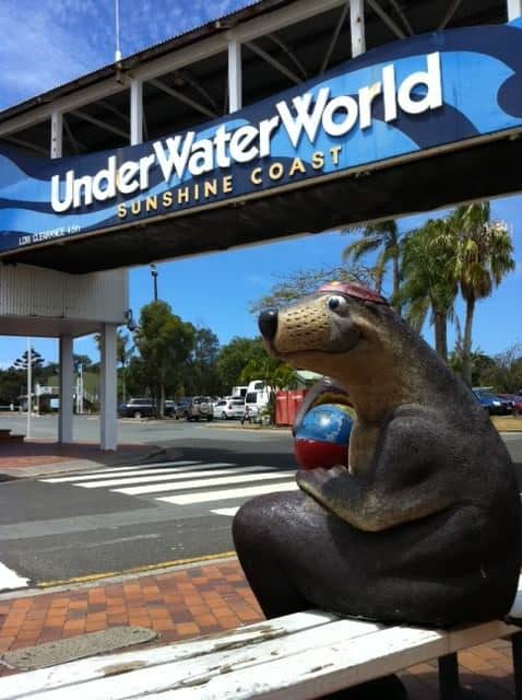 Underwater World Sunshine coast