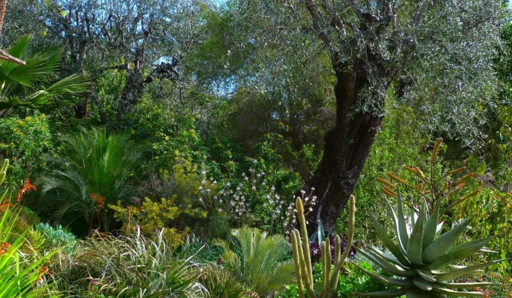Val Rahmeh Botanical Gardens, one of the best things to do in Menton.