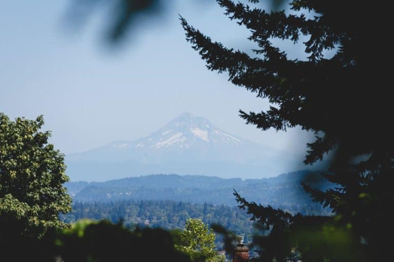 Best Hiking Near Portland, Oregon: Trails, Waterfalls & Spectacular Views 10 view-of-mount-hood-from-portland